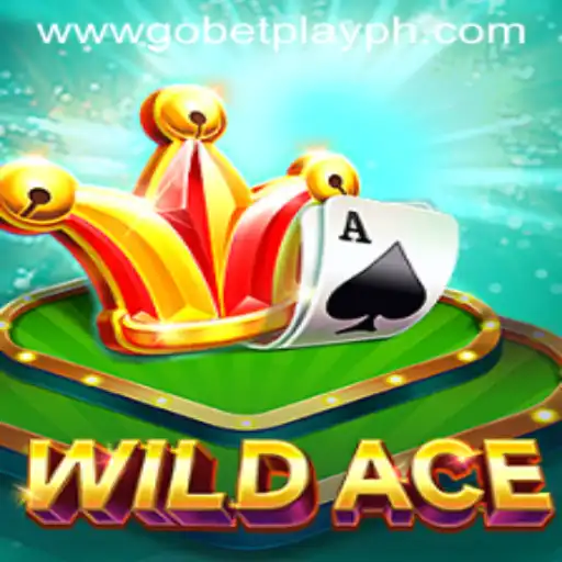 Discovering WildAce: An In-Depth Look at the Latest Gaming Sensation